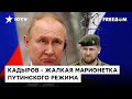 Кадыров — БЕСХРЕБЕТНАЯ МАРИОНЕТКА Путина: откуда растут ноги у тикток-воинов — Закаев