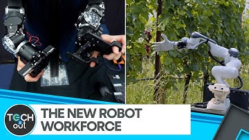 Humanoids Taking Over Real Jobs | Tech It Out | WION