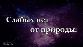 Слабых нет от природы