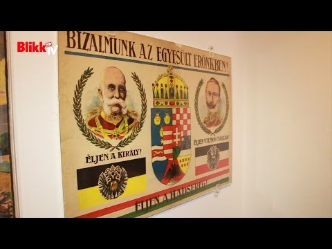 Videó: Különbség A Szórólapok és A Plakátok Között