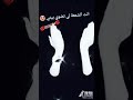 انت شمعة لي تضوي بيتي  