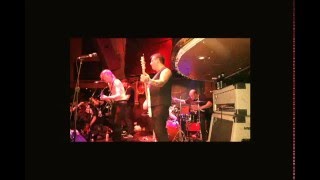 DAYGLO ABORTIONS "COCKROACHES" LYRIC VIDEO Wealth