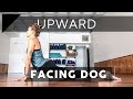 Upward Facing Dog Tutorial | Breathe and Flow Yoga