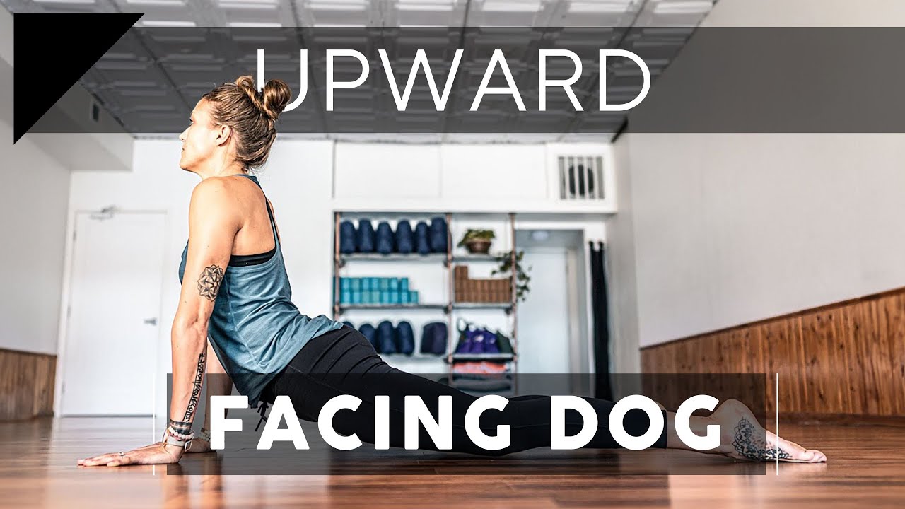Upward-Facing Dog Hurts My Back — 360 Yoga