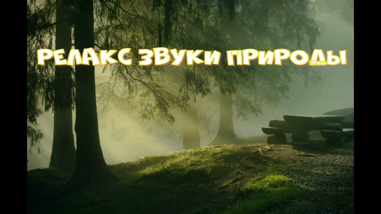 Релакс музыка звуки природы фортепиано. Релакс музыка звуки природы фортепиано. Релакс музыка звуки природы фортепиано. Природа видео музыка релакс 12 часов. Релакс музыка звуки природы фортепиано.