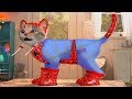 ПРИКЛЮЧЕНИЕ МАЛЕНЬКОГО КОТЕНКА мультфильм про котят - Мимимишка мультик для детей мультики на #ММ