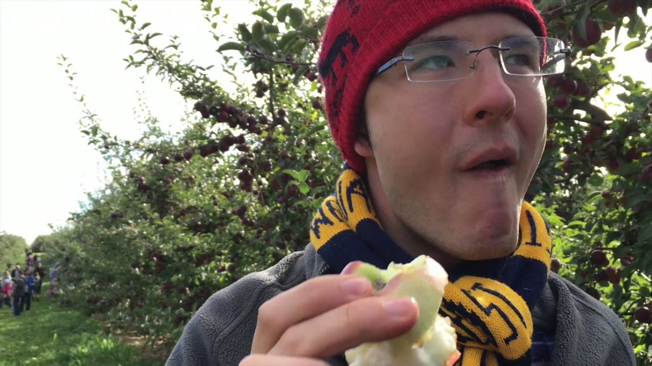 Beak & Skiff Apple Orchard, New York YouTube