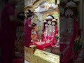video maa bagalamukhi दिनांक 26/02/26 के संध्या आरती दर्शन...जय माँ बगलामुखी 🚩🙏Evening Aarti Darshan