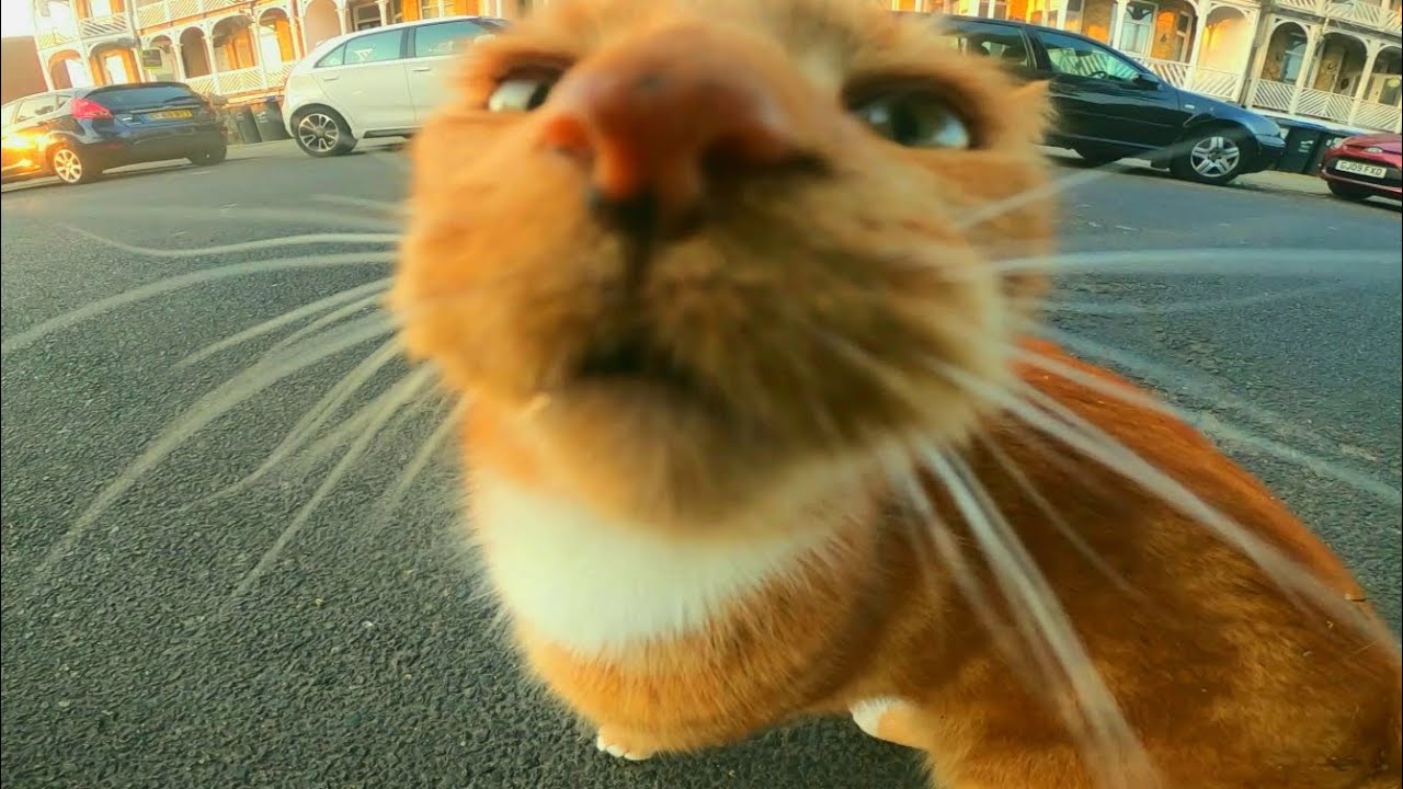 M & P: Parkour Edit (BIG! Flowdan) - YouTube