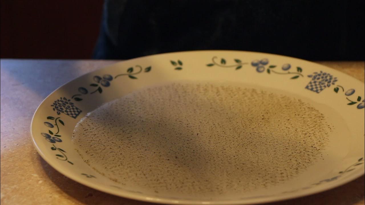 Salt and Pepper Experiment YouTube