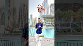 الفرصة الاخيرة! #crypto #cryptocurrency #trading #forex #startrader #nba #startraderleague#dubai