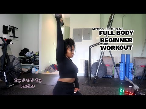 BEGINNER WORKOUT | DAY 3 OF 3 DAY ROUTINE