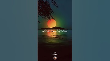 سورة النمل 🌟 القارئ محمد الليثى 🌙🕊️🥀#القرآن #نور_القرآن #سورة_النمل #تلاوة_خاشعة