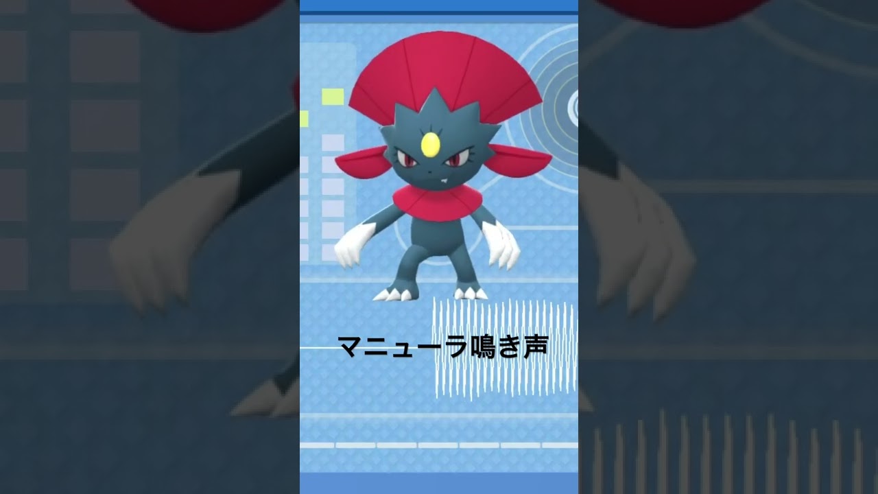 sp シンオウ図鑑no145 マニューラ Weavile 鳴き声 Barking ポケモン鳴き声 図鑑コンプ ブリリアントダイヤモンド シャイニングパール 第四世代鳴き声 Weavile Youtube