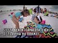 62# Пляж Siesta beach в Сарасоте (Флорида, США). Дельфины на пляже!