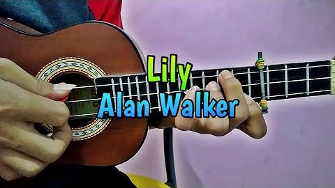 Lily - Alan Walker cover ukulele By @Zidan AS