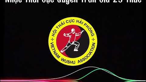 Nhạc Thái Cực Quyền Trần Gia 25 Thức