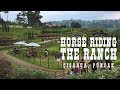 Horse Riding for Kids at The Ranch Puncak with Beautiful View