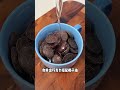 Awalnya apes mi tumpah, endingnya malah bikin ngiler parah! #shorts #comedy #food #unexpected