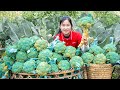 Harvest cauliflower goes to the market sell  flower care  ella daily life