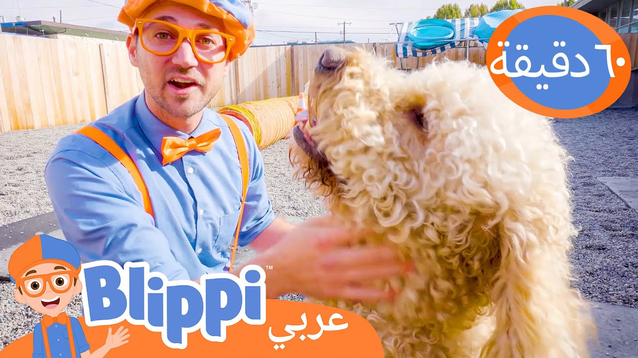 الاعتناء بالحيوانات الأليفة | Blippi's Cute Pets | برنامج بليبي التعليمي | Blippi - بليبي بالعربي