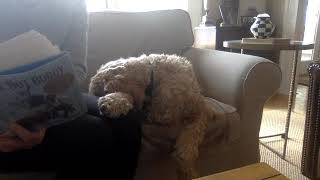 Bud, Not Buddy Chapter 6