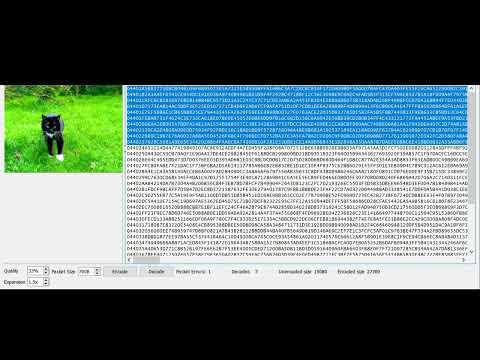 RaptorQ test encoding an image