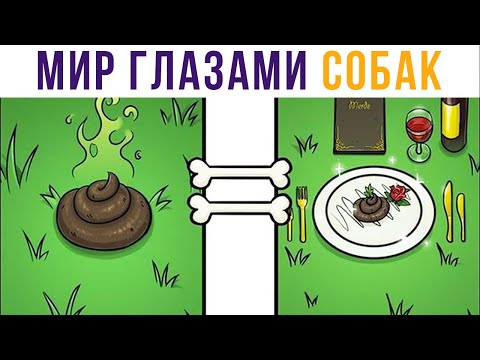 Комиксы. Мир глазами собак | Мемозг #345