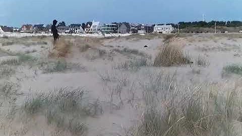 Losi Dbxl-e slowmotion @ beach belgium