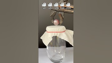 Which Item is Most Satisfying?#satisfying#foryou#experiment
