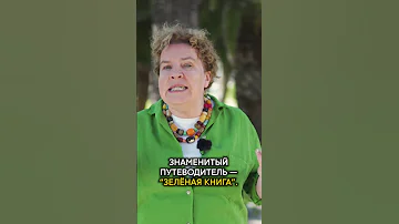 Путеводитель «Зелёная книга» — о чём он?