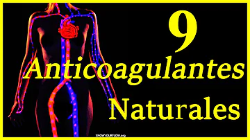¿Cuál es el mejor anticoagulante natural?