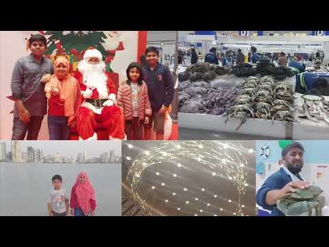 Al mamzar beach//dubai fish market// நாங்க santa clause க்கு குடுத்த gift// water front fish market