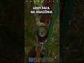 A Amazônia a favor do Brasileirinho #rust #pvp #loot