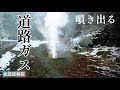 【探索中】爆発しそうな廃道を見つけた日。