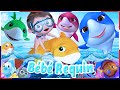 Bébé requin en français | La Dance du Baby Shark - Comptines pour bébé - Banana Cartoon LE Français