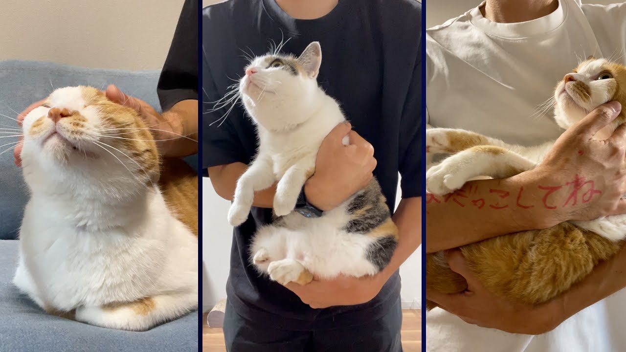 The Great Claw-Clipping Mission,