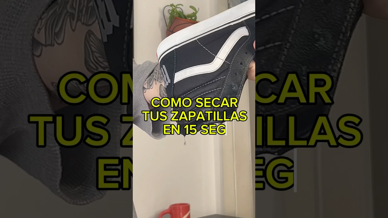 Como SECAR las zapatillas rápido y sin humedad👟