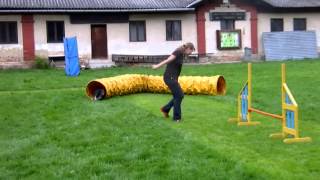 Serpentines β how to train techniques in agility 2