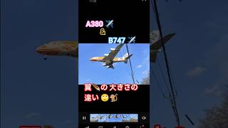 🙄‼️A380✈️ & B747✈️ 翼🪶の大きさの‼️違い🙄🐒【Low 𝐀𝐍𝐆𝐋𝐄 📸View】#shorts