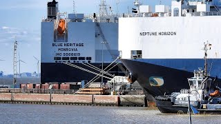 Autotransporter BLUE HERITAGE 5LQC6 IMO 9968619   NEPTUNE HORIZON 9HA3929 IMO 9451721 RoRo car carri