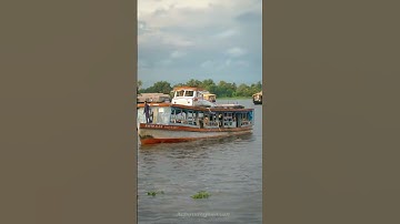 Thumbnail of Punnamada Kayalil veene