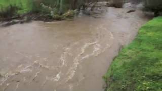 Salsipuedes Creek