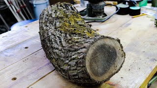 Woodturning a Log  Live Edge Black Walnut Bowl