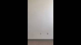 B3 Floor Plan - 1238 Sq. ft