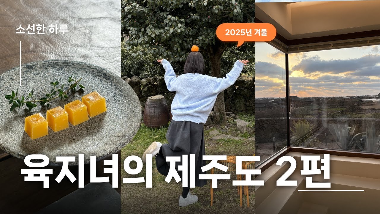 [소선한 하루]육지녀의 제주도 강풍에서 살아남기 2편