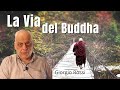 La via del Buddha - Giorgio Rossi