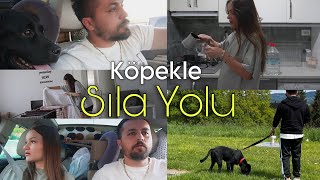 Arabamıza Hırsız Giriyordu Köpekle Avrupaya Yolculuk Sınırda Başımıza Gelenler Vlog