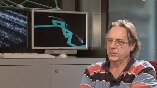 What is sonification?