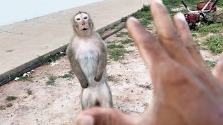 Daddy wants shally with yaya, yaya is calmly